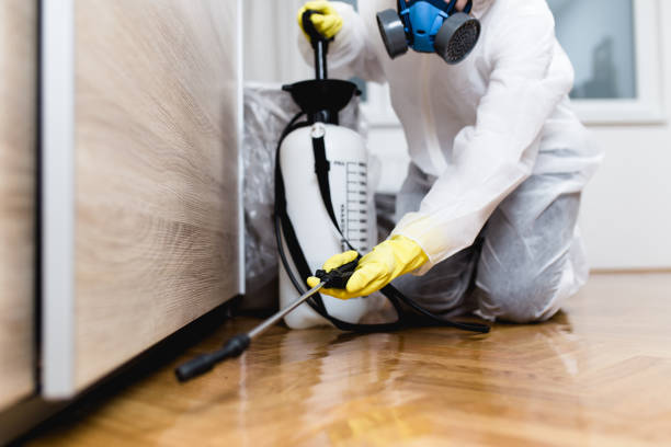 Best Mosquito Control Services  in Trussville, AL