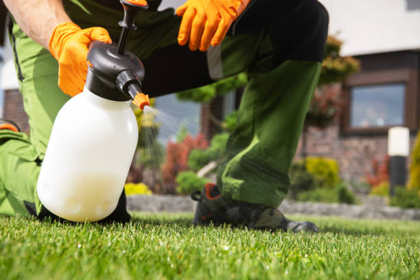 Best Bird Control  in Trussville, AL