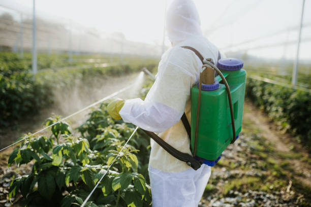 Professional Pest Control in Trussville, AL